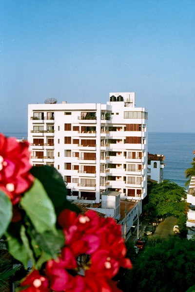 puerto vallarta abbey gay hotel